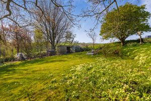 Photo 11- click for photo gallery